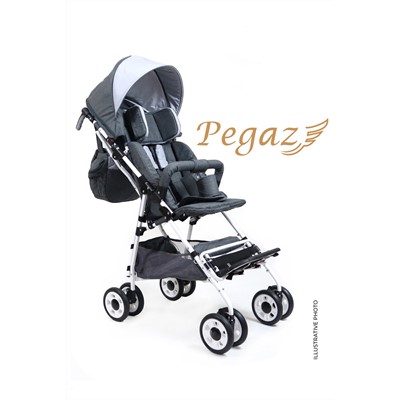 Pegaz stroller (gray)