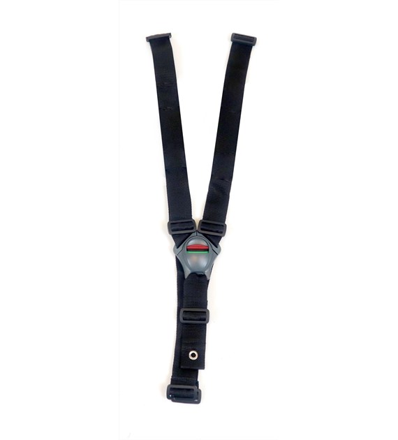 5-point safety belt (Grizzly)